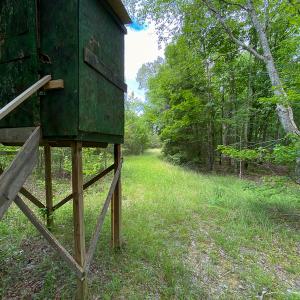 Photo #22 of SOLD property in 396 Raymond Lowery Drive, Roxboro, NC 225.0 acres