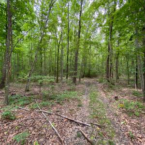 Photo #24 of SOLD property in 396 Raymond Lowery Drive, Roxboro, NC 225.0 acres