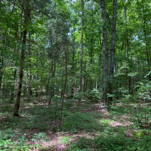 Photo #25 of SOLD property in 396 Raymond Lowery Drive, Roxboro, NC 225.0 acres