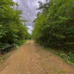 Photo #26 of SOLD property in 396 Raymond Lowery Drive, Roxboro, NC 225.0 acres
