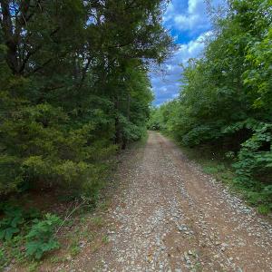 Photo #27 of SOLD property in 396 Raymond Lowery Drive, Roxboro, NC 225.0 acres