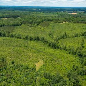 Photo #34 of SOLD property in 396 Raymond Lowery Drive, Roxboro, NC 225.0 acres