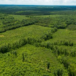 Photo #35 of SOLD property in 396 Raymond Lowery Drive, Roxboro, NC 225.0 acres