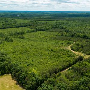 Photo #36 of SOLD property in 396 Raymond Lowery Drive, Roxboro, NC 225.0 acres