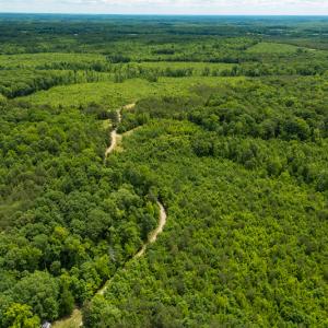 Photo #37 of SOLD property in 396 Raymond Lowery Drive, Roxboro, NC 225.0 acres