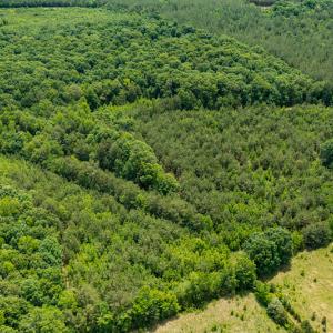 Photo #38 of SOLD property in 396 Raymond Lowery Drive, Roxboro, NC 225.0 acres