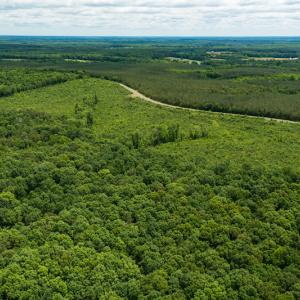 Photo #40 of SOLD property in 396 Raymond Lowery Drive, Roxboro, NC 225.0 acres