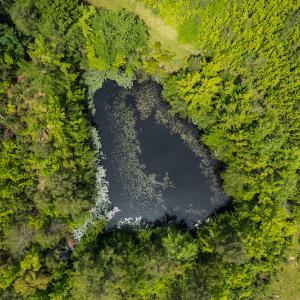 Photo #41 of SOLD property in 396 Raymond Lowery Drive, Roxboro, NC 225.0 acres