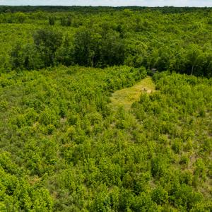 Photo #42 of SOLD property in 396 Raymond Lowery Drive, Roxboro, NC 225.0 acres