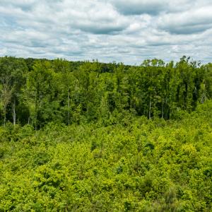 Photo #43 of SOLD property in 396 Raymond Lowery Drive, Roxboro, NC 225.0 acres