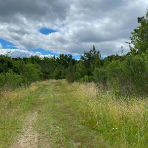 Photo #46 of SOLD property in 396 Raymond Lowery Drive, Roxboro, NC 225.0 acres