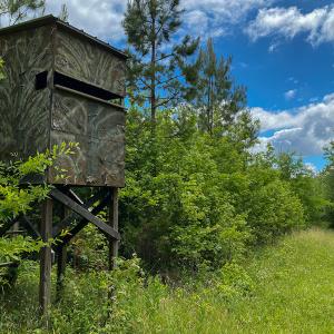 Photo #47 of SOLD property in 396 Raymond Lowery Drive, Roxboro, NC 225.0 acres