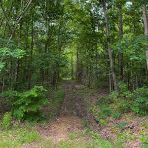 Photo #49 of SOLD property in 396 Raymond Lowery Drive, Roxboro, NC 225.0 acres