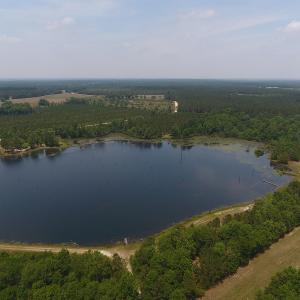 Photo #2 of SOLD property in 1390 Oakland School Road, Cassatt, SC 550.0 acres