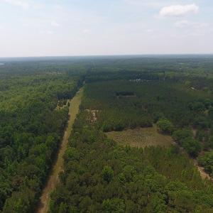 Photo #13 of SOLD property in 1390 Oakland School Road, Cassatt, SC 550.0 acres