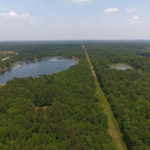 Photo #14 of SOLD property in 1390 Oakland School Road, Cassatt, SC 550.0 acres