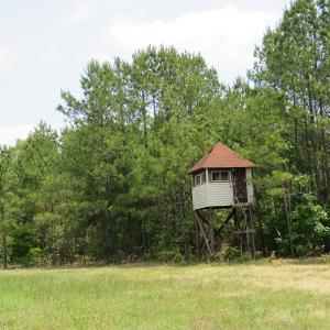 Photo #16 of SOLD property in 1390 Oakland School Road, Cassatt, SC 550.0 acres