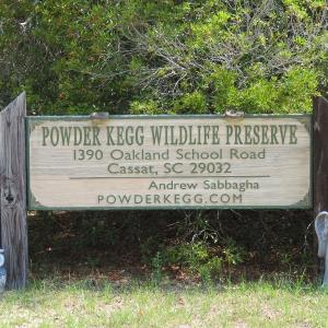 Photo #17 of SOLD property in 1390 Oakland School Road, Cassatt, SC 550.0 acres