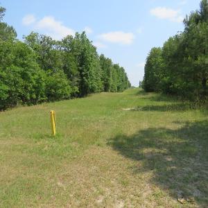 Photo #18 of SOLD property in 1390 Oakland School Road, Cassatt, SC 550.0 acres