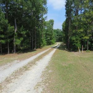Photo #19 of SOLD property in 1390 Oakland School Road, Cassatt, SC 550.0 acres