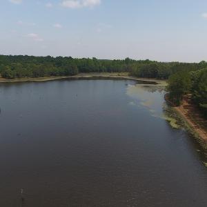 Photo #4 of SOLD property in 1390 Oakland School Road, Cassatt, SC 550.0 acres