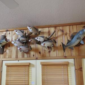 Photo #32 of SOLD property in 1390 Oakland School Road, Cassatt, SC 550.0 acres