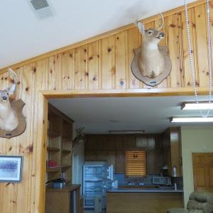 Photo #33 of SOLD property in 1390 Oakland School Road, Cassatt, SC 550.0 acres