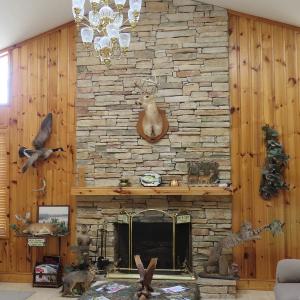 Photo #34 of SOLD property in 1390 Oakland School Road, Cassatt, SC 550.0 acres