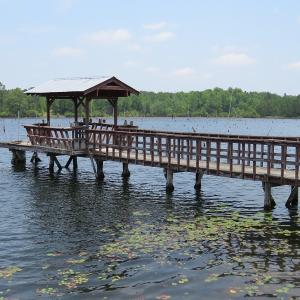 Photo #5 of SOLD property in 1390 Oakland School Road, Cassatt, SC 550.0 acres