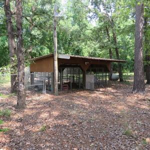 Photo #41 of SOLD property in 1390 Oakland School Road, Cassatt, SC 550.0 acres