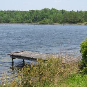 Photo #50 of SOLD property in 1390 Oakland School Road, Cassatt, SC 550.0 acres