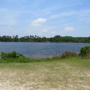 Photo #6 of SOLD property in 1390 Oakland School Road, Cassatt, SC 550.0 acres