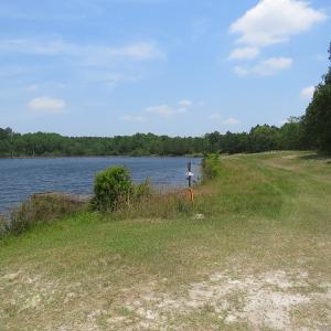 Photo #51 of SOLD property in 1390 Oakland School Road, Cassatt, SC 550.0 acres