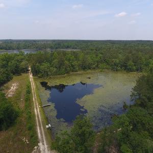 Photo #59 of SOLD property in 1390 Oakland School Road, Cassatt, SC 550.0 acres