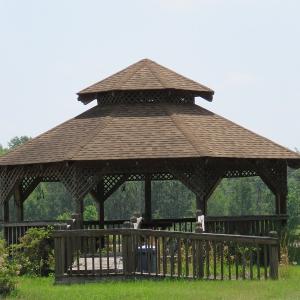 Photo #7 of SOLD property in 1390 Oakland School Road, Cassatt, SC 550.0 acres