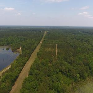 Photo #61 of SOLD property in 1390 Oakland School Road, Cassatt, SC 550.0 acres