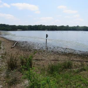 Photo #63 of SOLD property in 1390 Oakland School Road, Cassatt, SC 550.0 acres