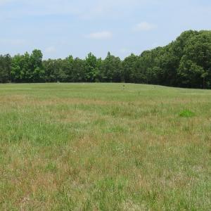 Photo #64 of SOLD property in 1390 Oakland School Road, Cassatt, SC 550.0 acres