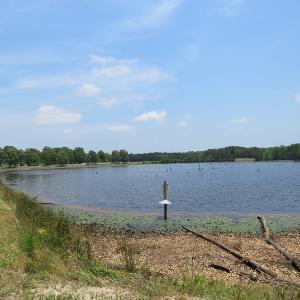 Photo #68 of SOLD property in 1390 Oakland School Road, Cassatt, SC 550.0 acres