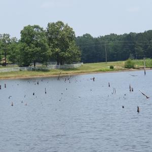 Photo #70 of SOLD property in 1390 Oakland School Road, Cassatt, SC 550.0 acres