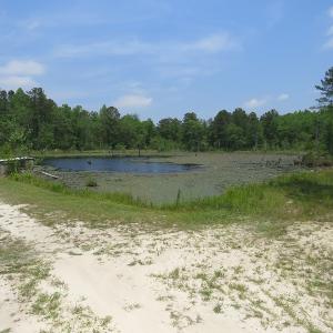 Photo #71 of SOLD property in 1390 Oakland School Road, Cassatt, SC 550.0 acres