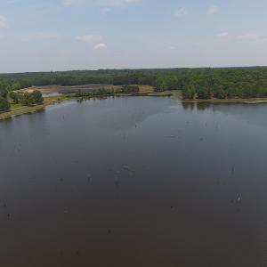 Photo #9 of SOLD property in 1390 Oakland School Road, Cassatt, SC 550.0 acres