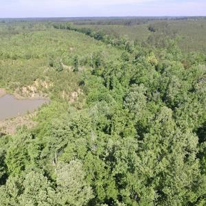 Photo #3 of SOLD property in Doswell Town Road, Meherrin, VA 55.7 acres