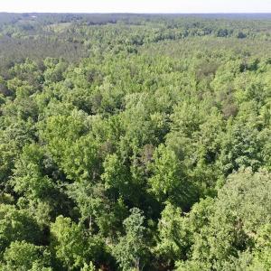 Photo #4 of SOLD property in Doswell Town Road, Meherrin, VA 55.7 acres