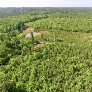 Photo #5 of SOLD property in Doswell Town Road, Meherrin, VA 55.7 acres