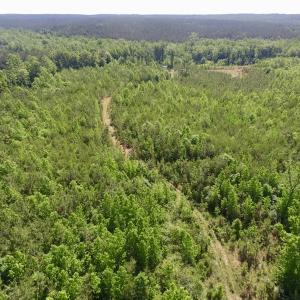 Photo #7 of SOLD property in Doswell Town Road, Meherrin, VA 55.7 acres