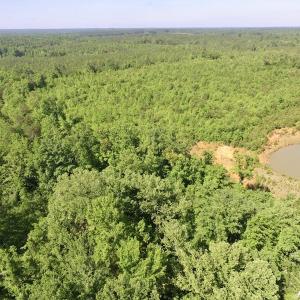 Photo #8 of SOLD property in Doswell Town Road, Meherrin, VA 55.7 acres