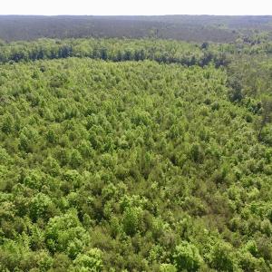 Photo #9 of SOLD property in Doswell Town Road, Meherrin, VA 55.7 acres