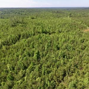 Photo #12 of SOLD property in Doswell Town Road, Meherrin, VA 55.7 acres