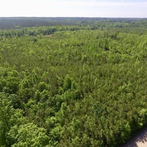 Photo #13 of SOLD property in Doswell Town Road, Meherrin, VA 55.7 acres